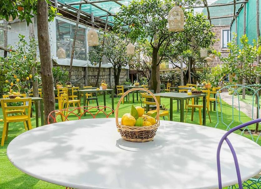 Patio Zdjęcie