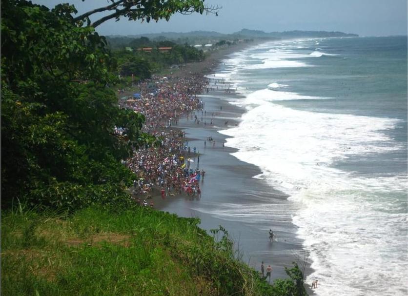 Plaża Zdjęcie