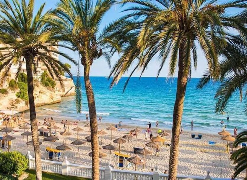 Plaża Zdjęcie