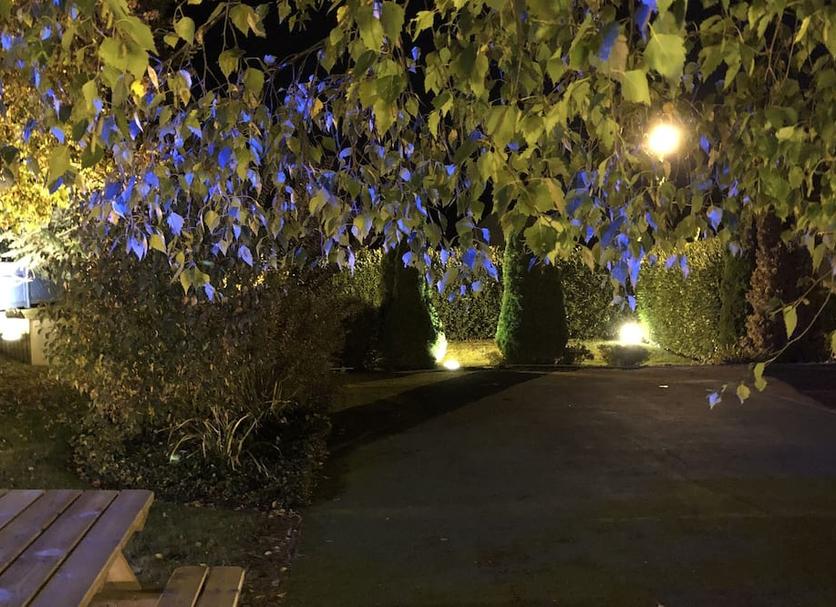 Widok na zewnątrz Zdjęcie