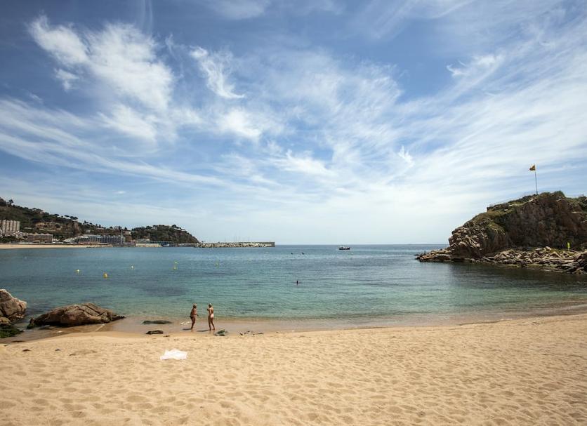 Plaża Zdjęcie
