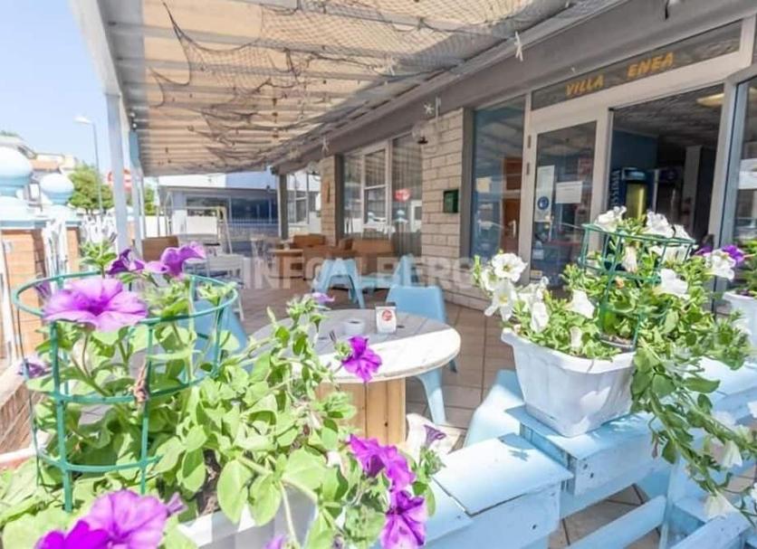 Patio Zdjęcie