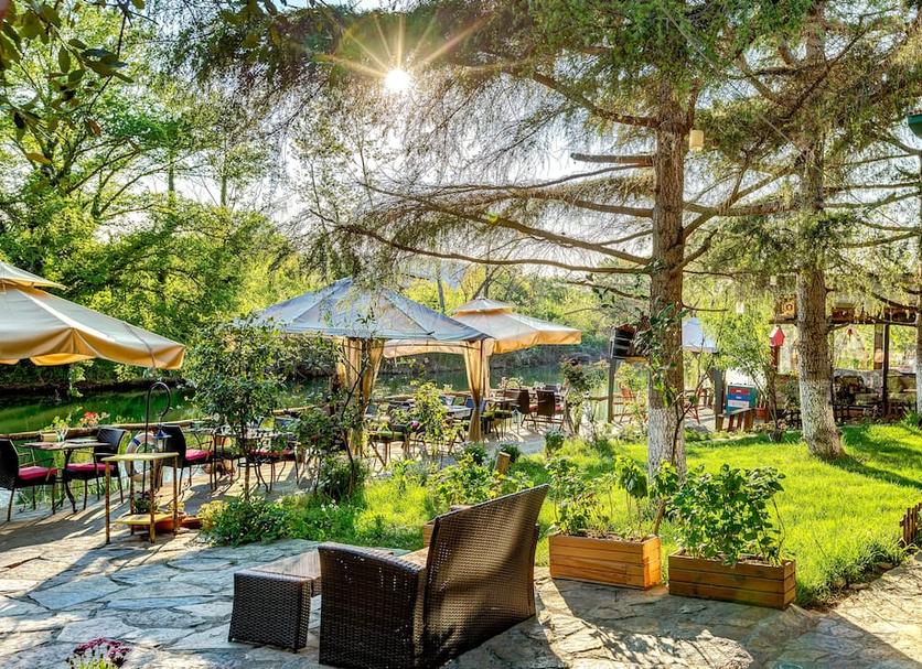 Patio Zdjęcie