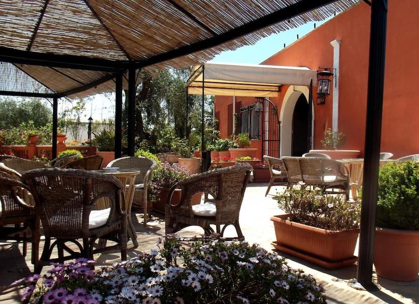 Patio Zdjęcie