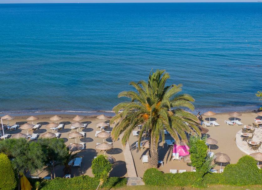 Plaża Zdjęcie