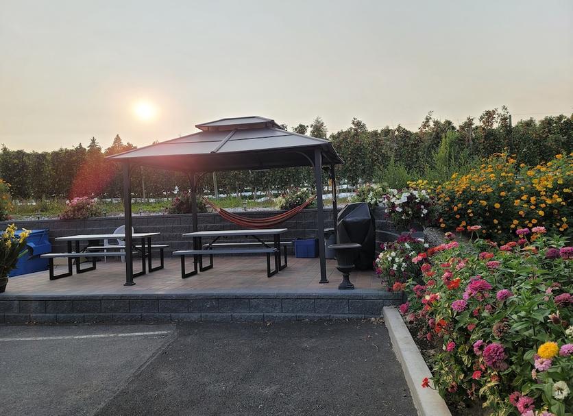 Patio Zdjęcie