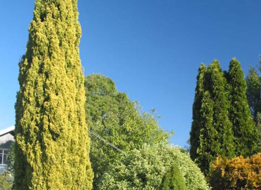 Widok na zewnątrz Zdjęcie