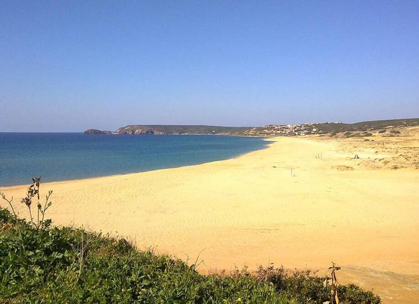 Plaża Zdjęcie