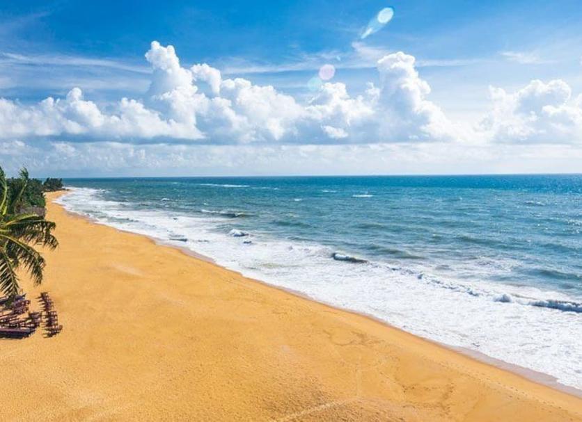 Plaża Zdjęcie