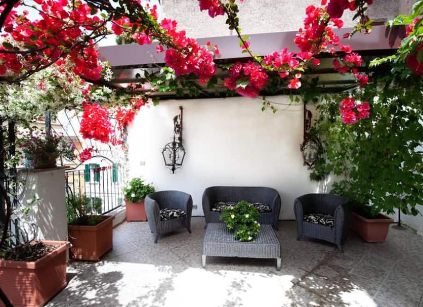 Patio Zdjęcie