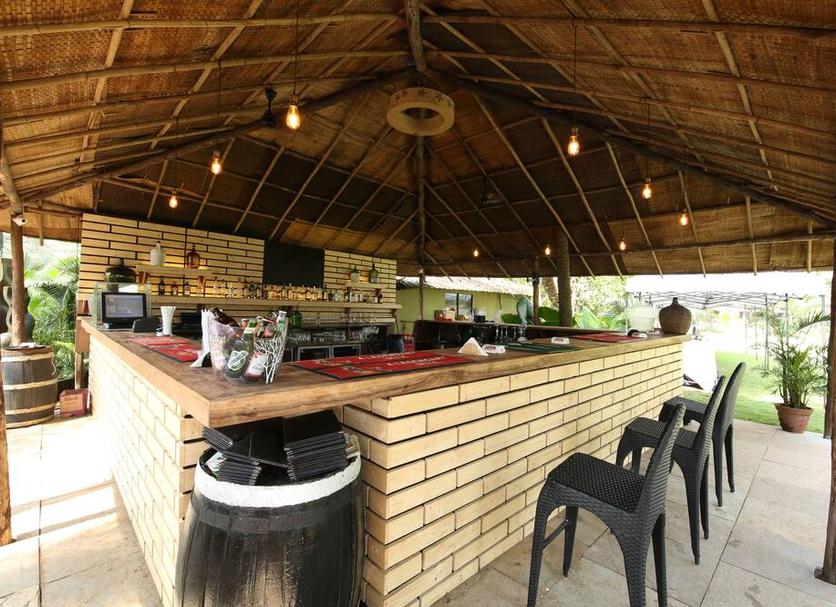 Bar Zdjęcie
