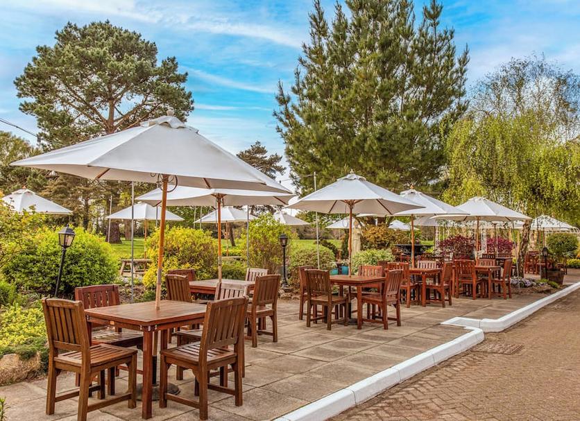 Patio Zdjęcie