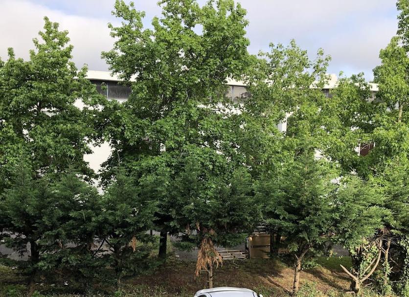 Widok na zewnątrz Zdjęcie