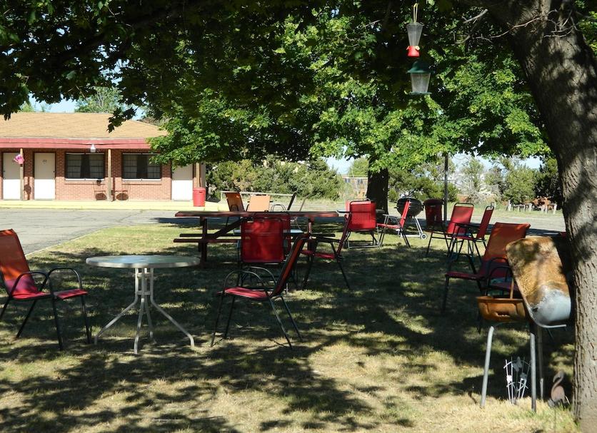 Patio Zdjęcie