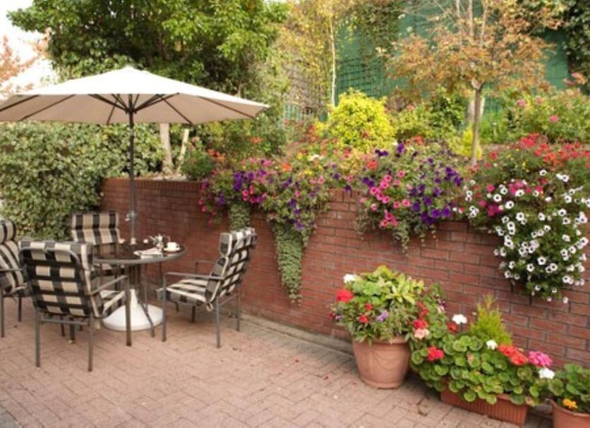 Patio Zdjęcie