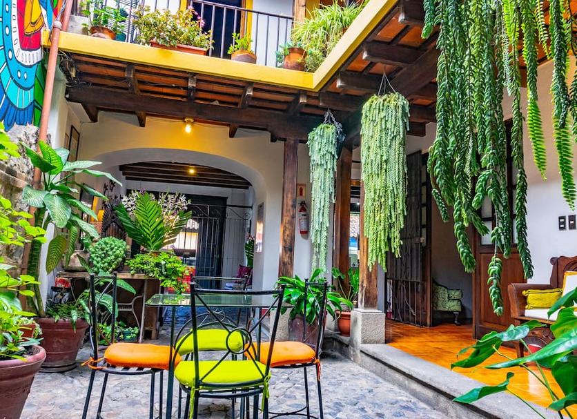 Patio Zdjęcie