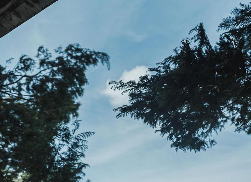 Widok na zewnątrz Zdjęcie