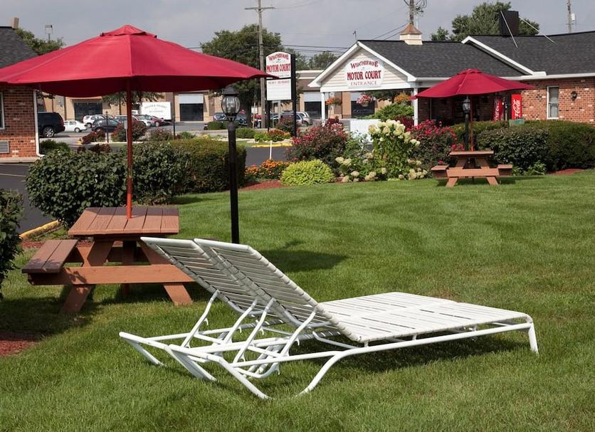 Patio Zdjęcie