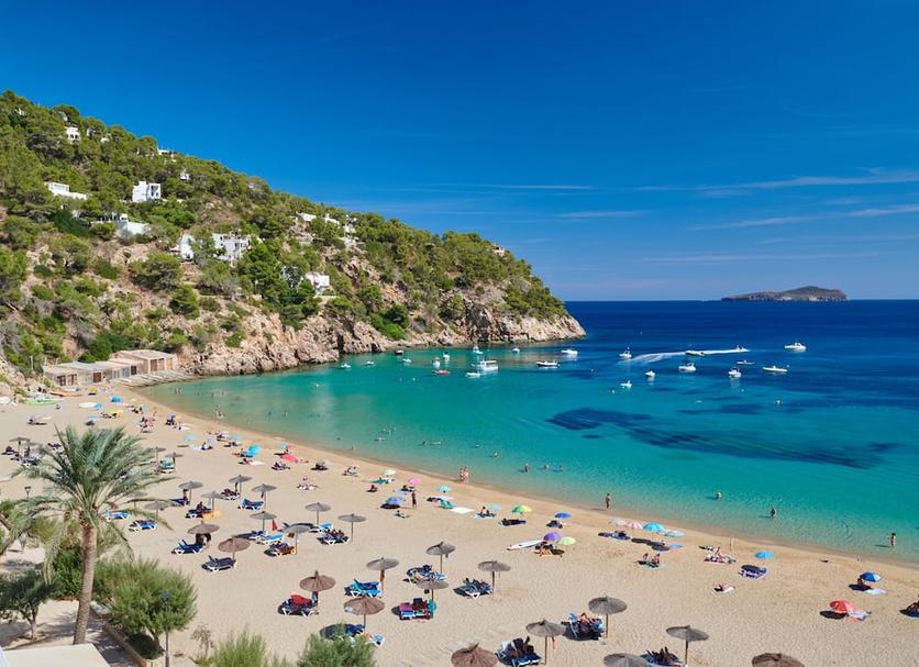 Plaża Zdjęcie
