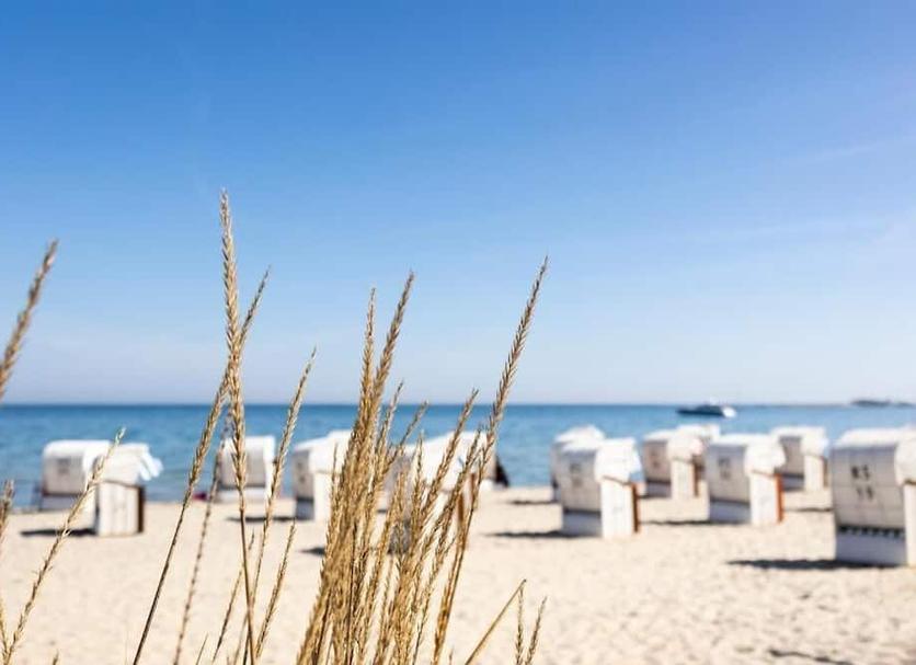 Plaża Zdjęcie