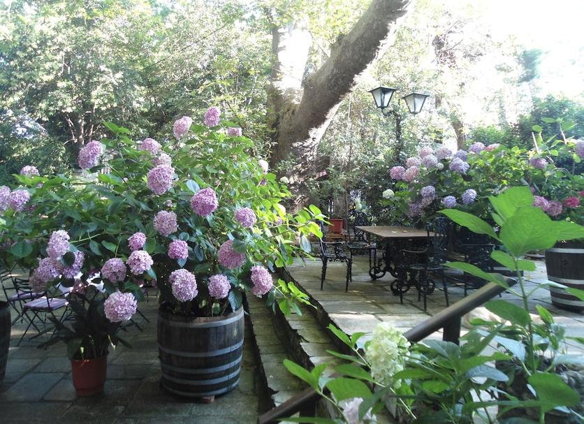 Patio Zdjęcie
