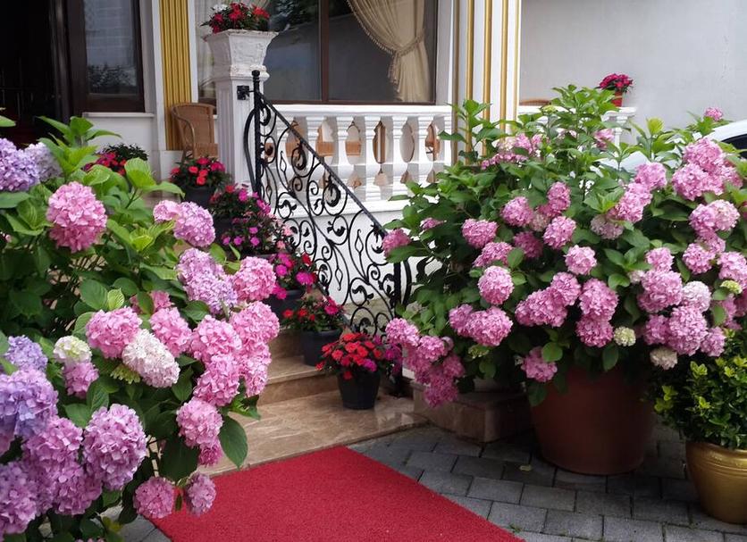 Widok na zewnątrz Zdjęcie