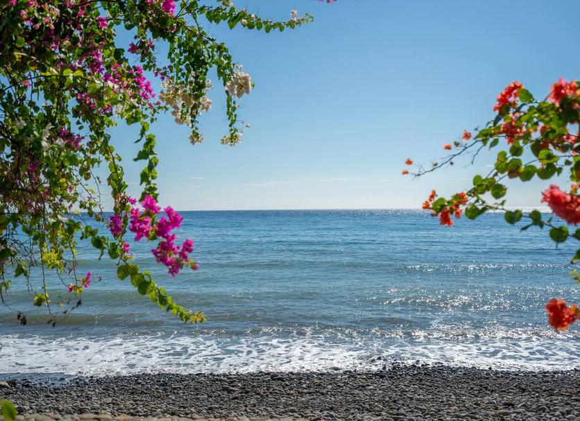 Plaża Zdjęcie