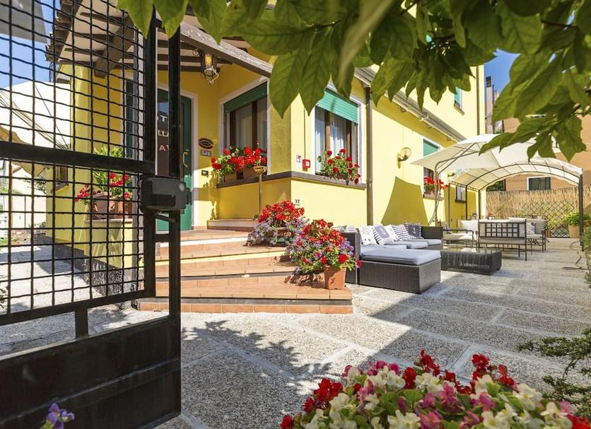 Patio Zdjęcie