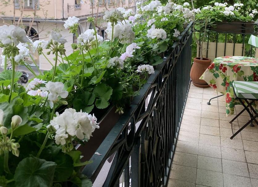 Balkon Zdjęcie