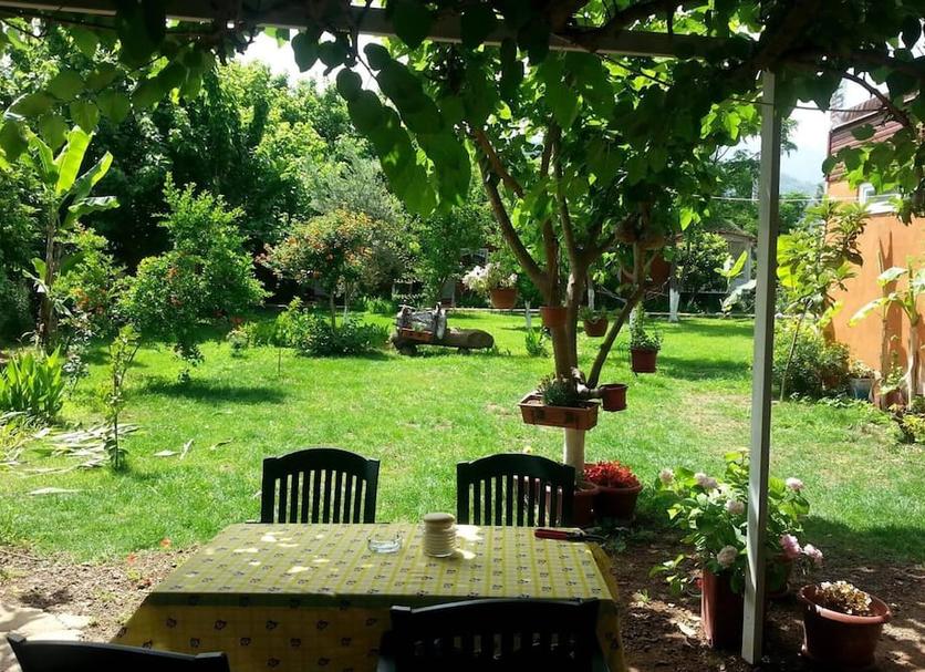 Patio Zdjęcie