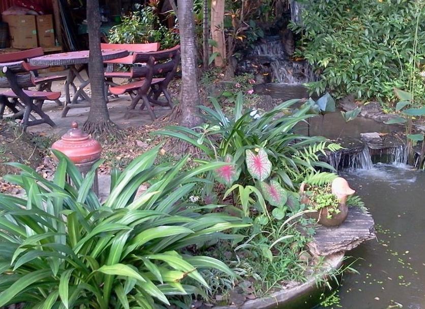 Patio Zdjęcie