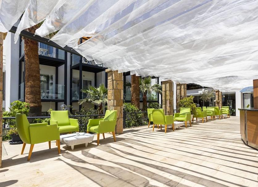 Patio Zdjęcie