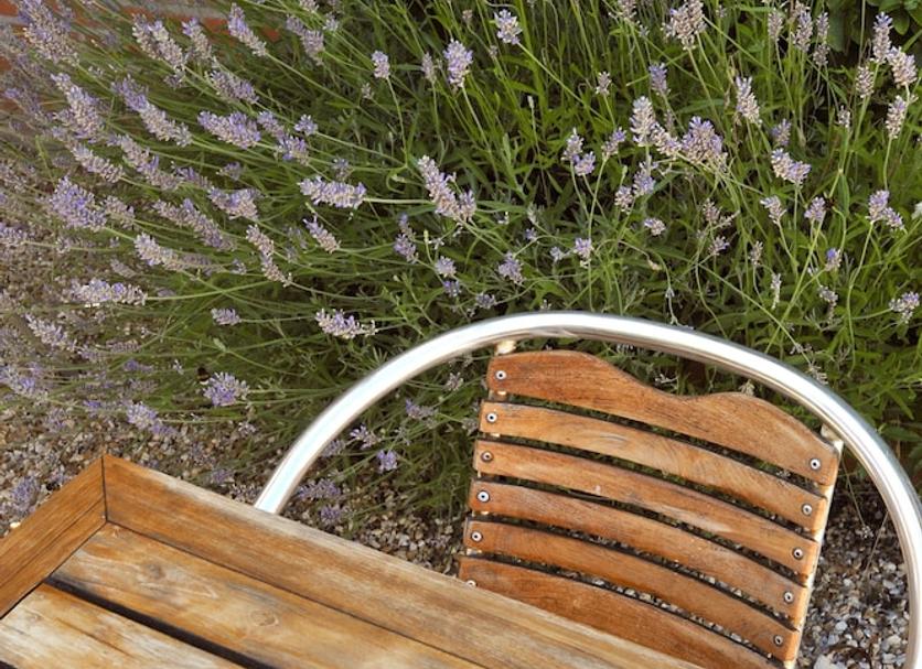 Patio Zdjęcie