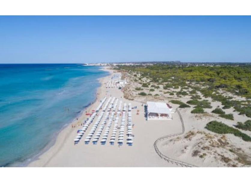 Plaża Zdjęcie