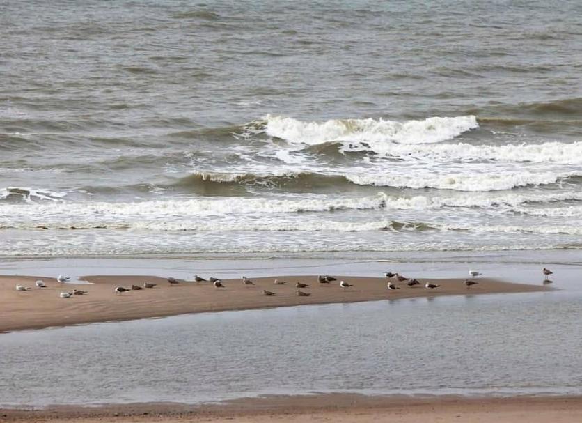 Plaża Zdjęcie