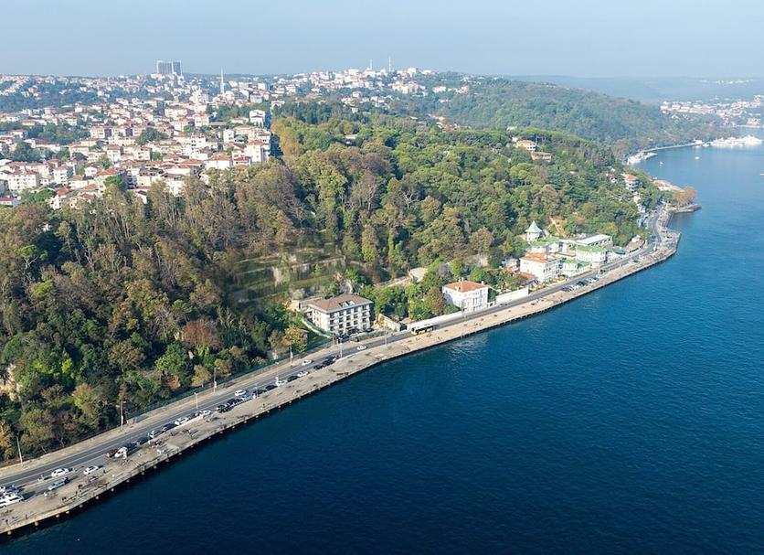 inna Zdjęcie