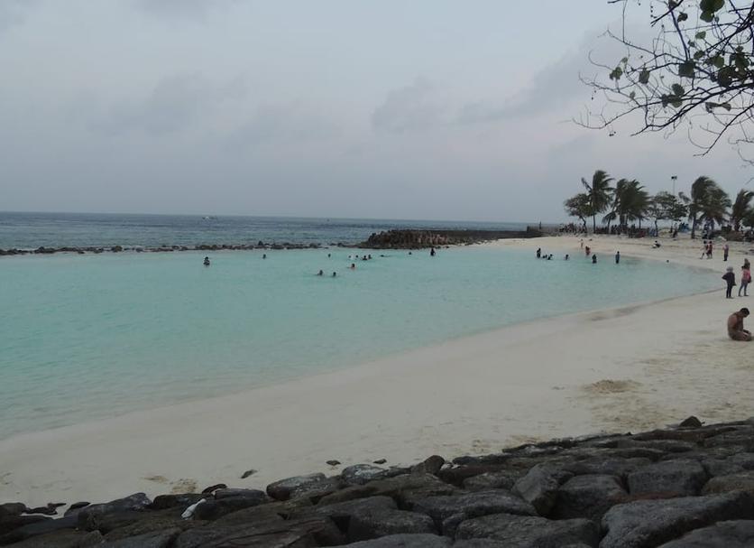 Plaża Zdjęcie
