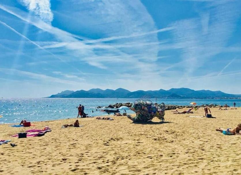 Plaża Zdjęcie