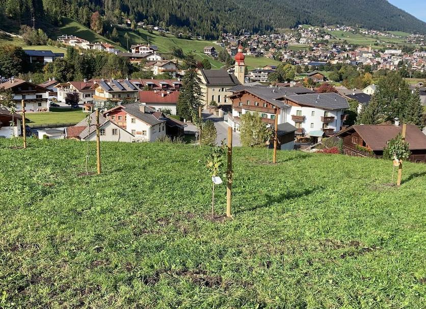Widok na zewnątrz Zdjęcie