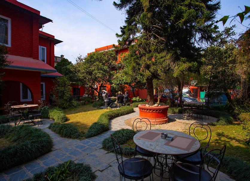 Patio Zdjęcie
