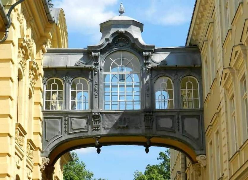 inna Zdjęcie