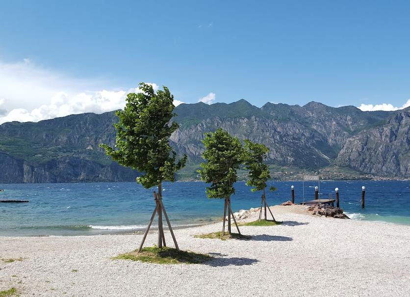 Plaża Zdjęcie