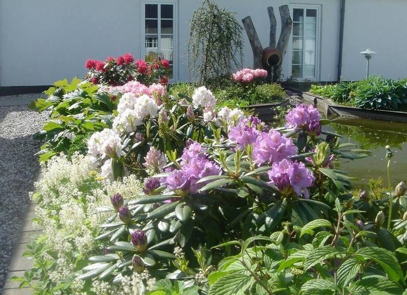 Widok na zewnątrz Zdjęcie