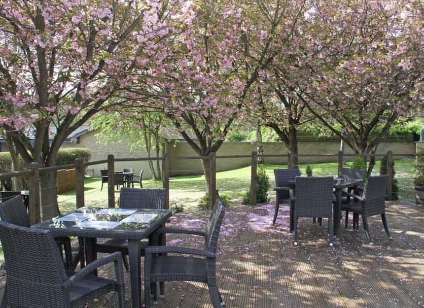 Patio Zdjęcie