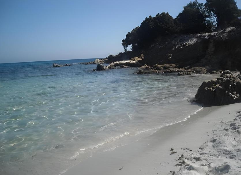 Plaża Zdjęcie