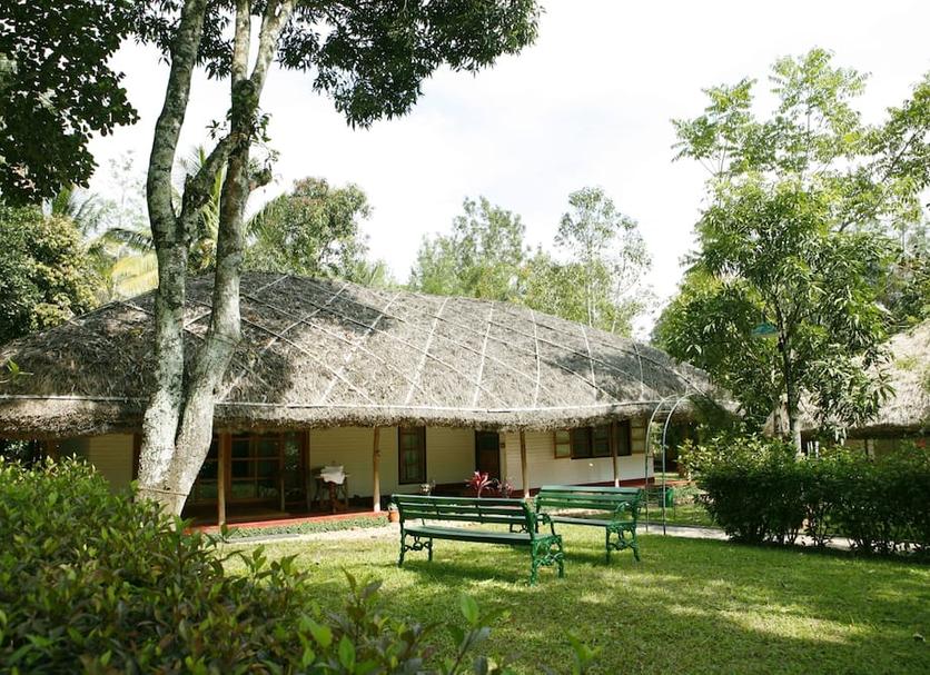 Patio Zdjęcie