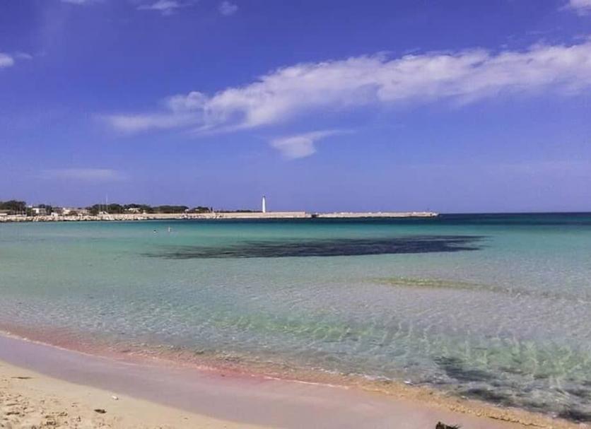Plaża Zdjęcie