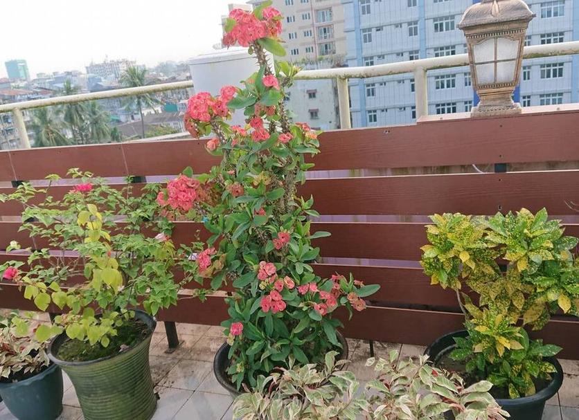 Balkon Zdjęcie