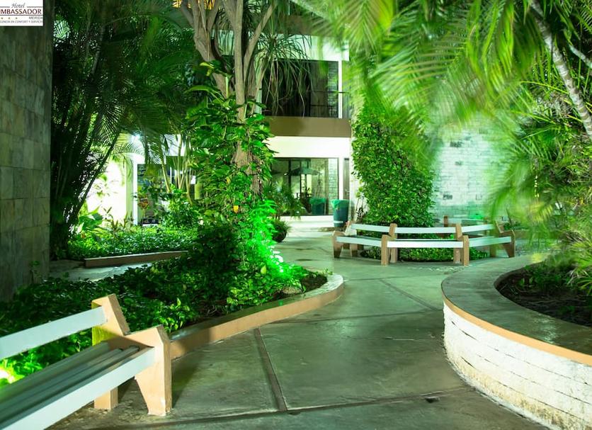 Patio Zdjęcie
