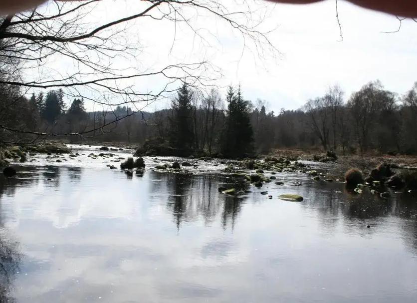 inna Zdjęcie